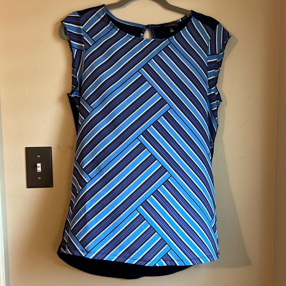 The Limited blue/purple stripe top..size medium